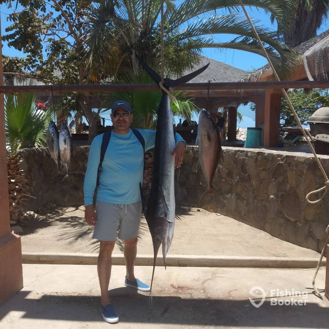 San Jose del Cabo Report Photo 0