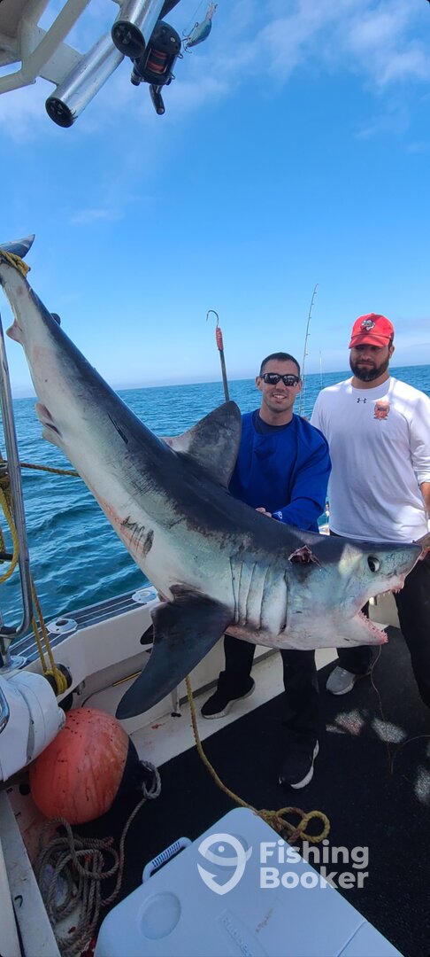 Boston Report Photo 0