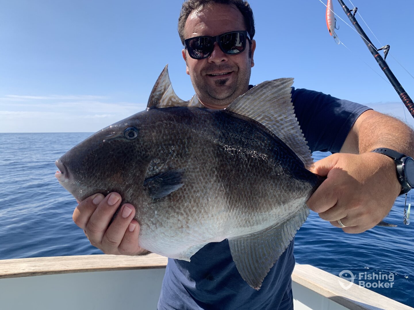 Calheta Report Photo 0