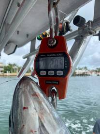 West Palm Beach Report Photo 1