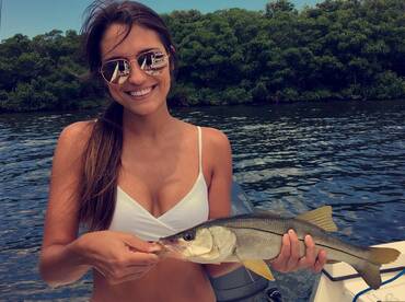 Sarasota Report Photo 1