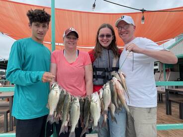 Grapevine Report Photo 1