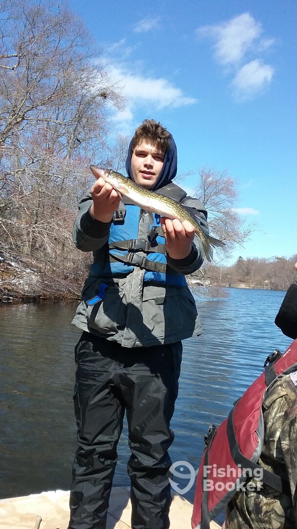 Mastic Report Photo 0