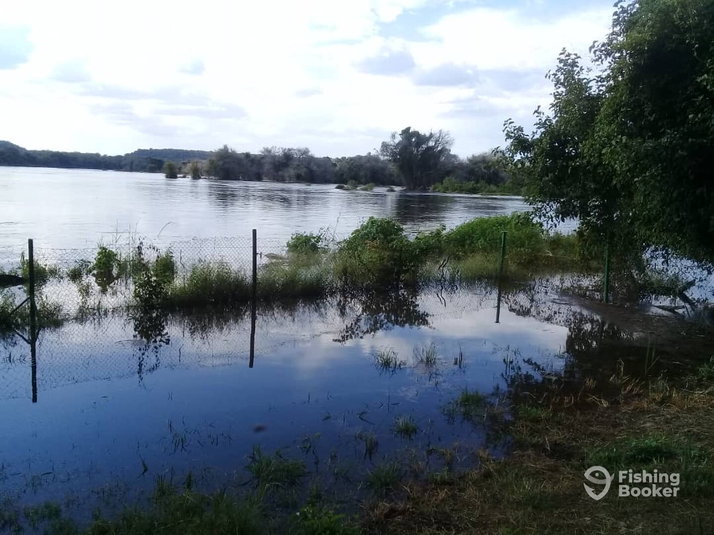 Hwange Report Photo 0