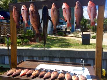 Destin Report Photo 2