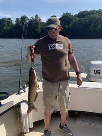 Bellevue Report Photo 1