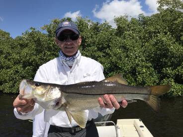 Homestead Report Photo 1