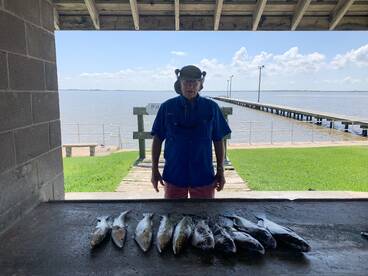 Palacios Report Photo 2