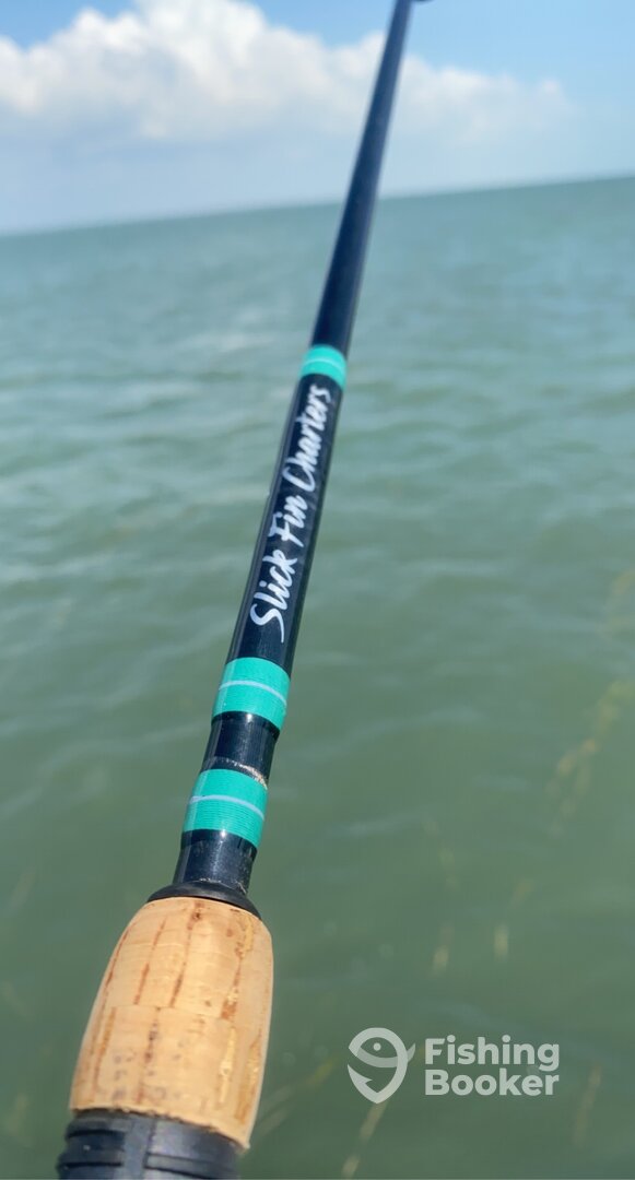 South Padre Island Report Photo 0