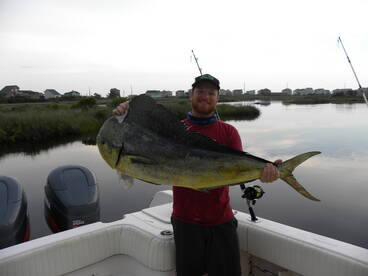 They're Getting Bigger!!!