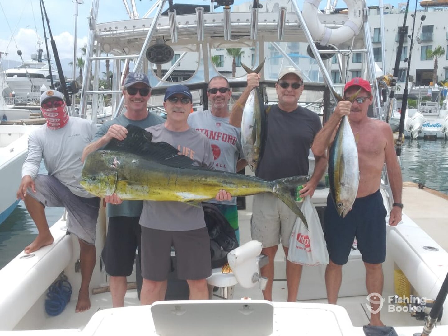 San Jose del Cabo Report Photo 0