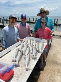 Galveston Report Photo 2