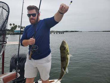 Smoothback Pufferfish Invasion