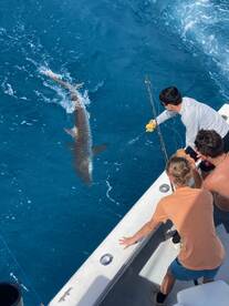 Dania Beach Report Photo 1