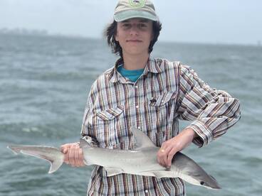 Sarasota Report Photo 1