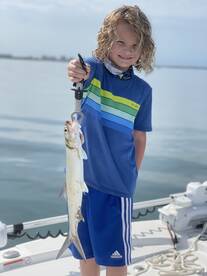 Sarasota Report Photo 1