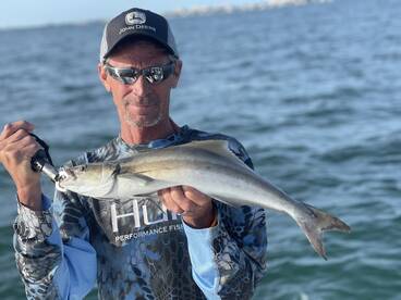 Sarasota Report Photo 2