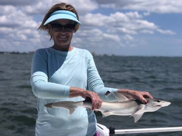 Sarasota Report Photo 1