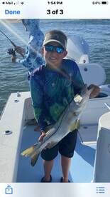 Stuart Report Photo 1