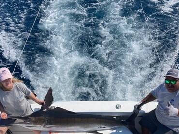 Nuevo Vallarta Report Photo 2