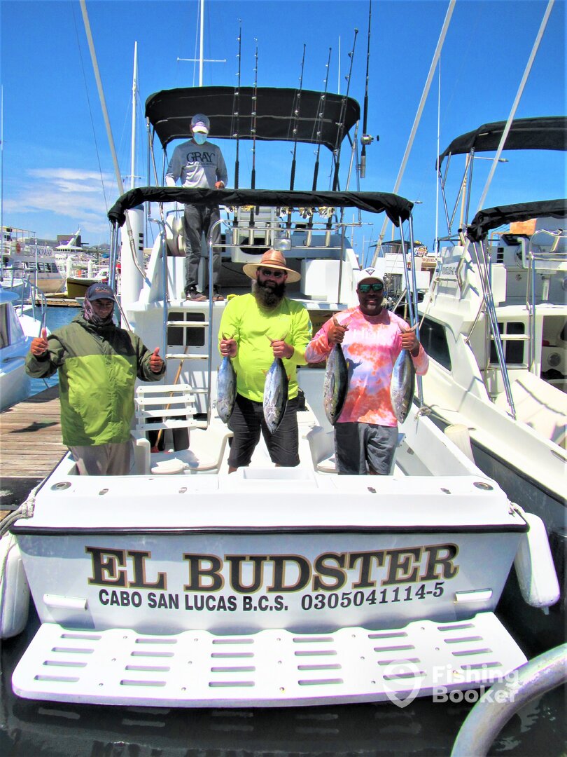 Cabo San Lucas Report Photo 0