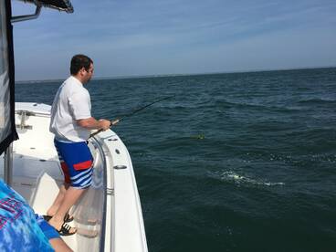 Bourne Verslag Foto 2