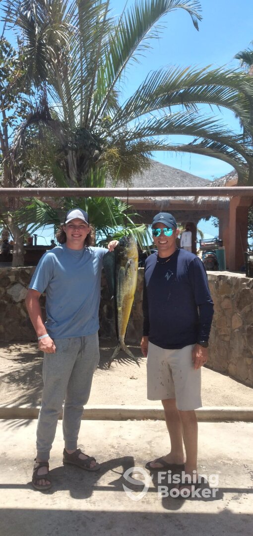 San Jose del Cabo Report Photo 0