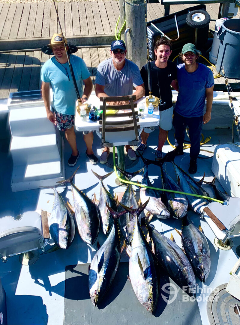 Montauk Report Photo 0