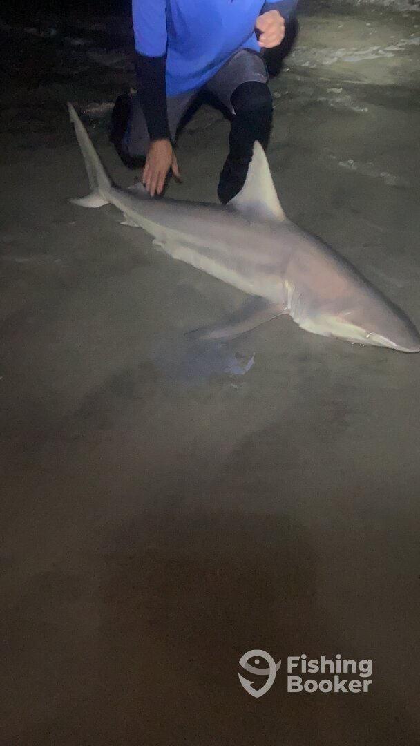 New Smyrna Beach Report Photo 0