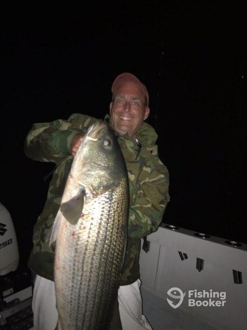 Waterford Report Photo 0