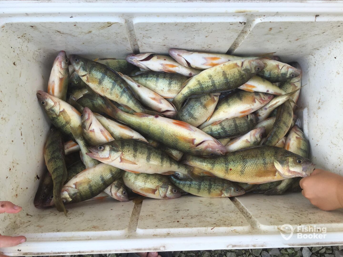 Lakeside Marblehead Report Photo 0