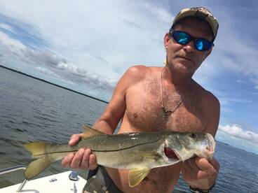 Sarasota Report Photo 1