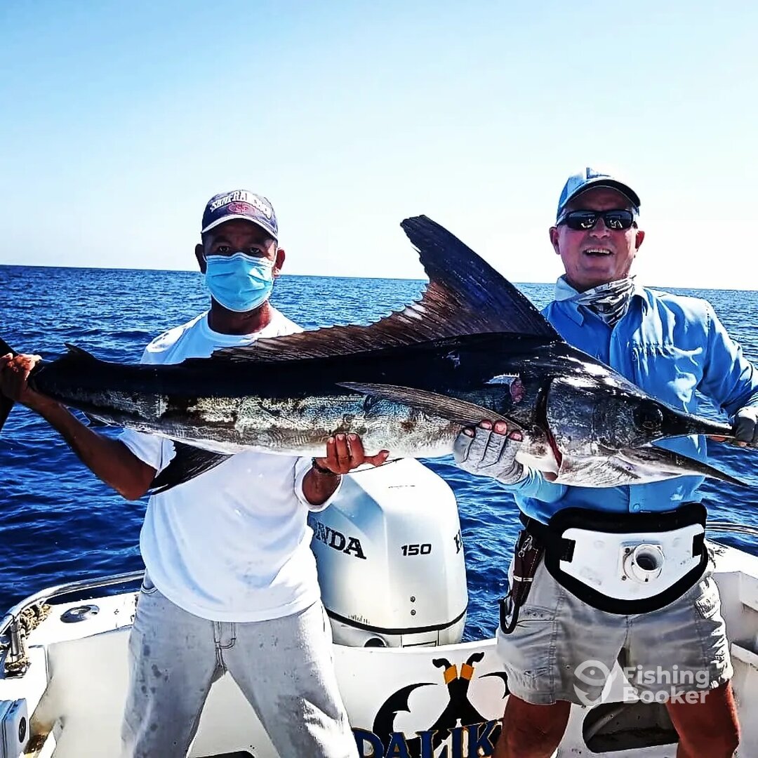 San Jose del Cabo Report Photo 0