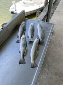 Galveston Report Photo 2