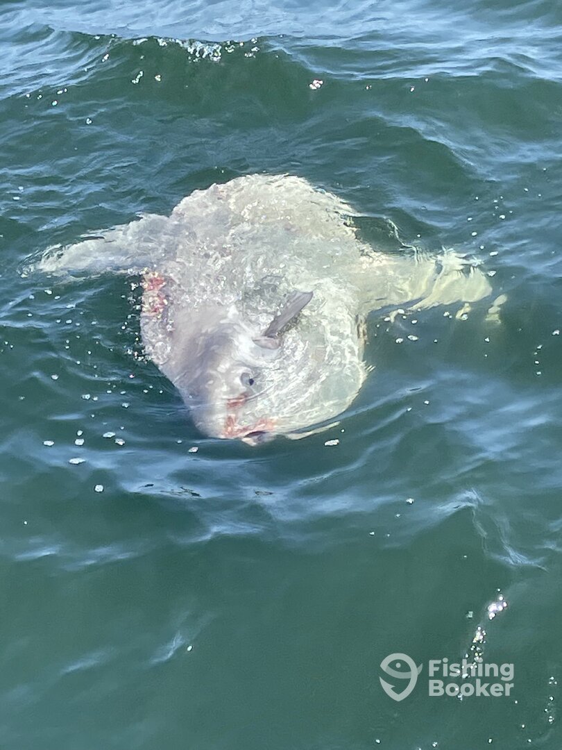 Gloucester Report Photo 0