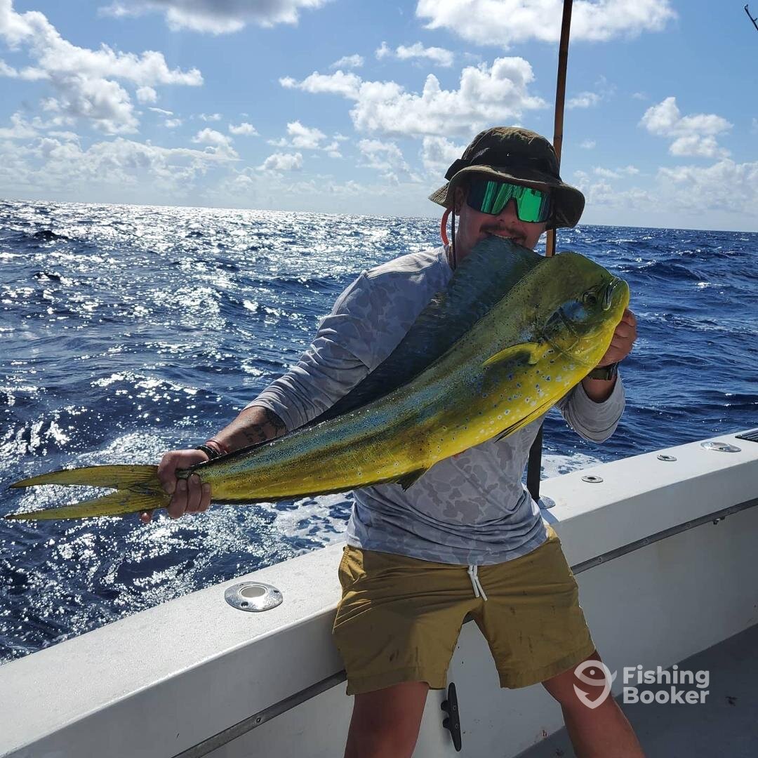 Dania Beach Report Photo 0