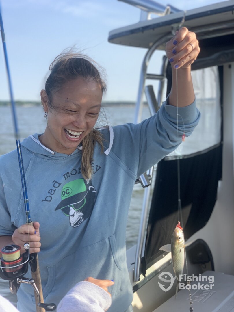 Bellevue Report Photo 0