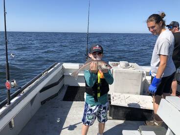 Gloucester Report Photo 1