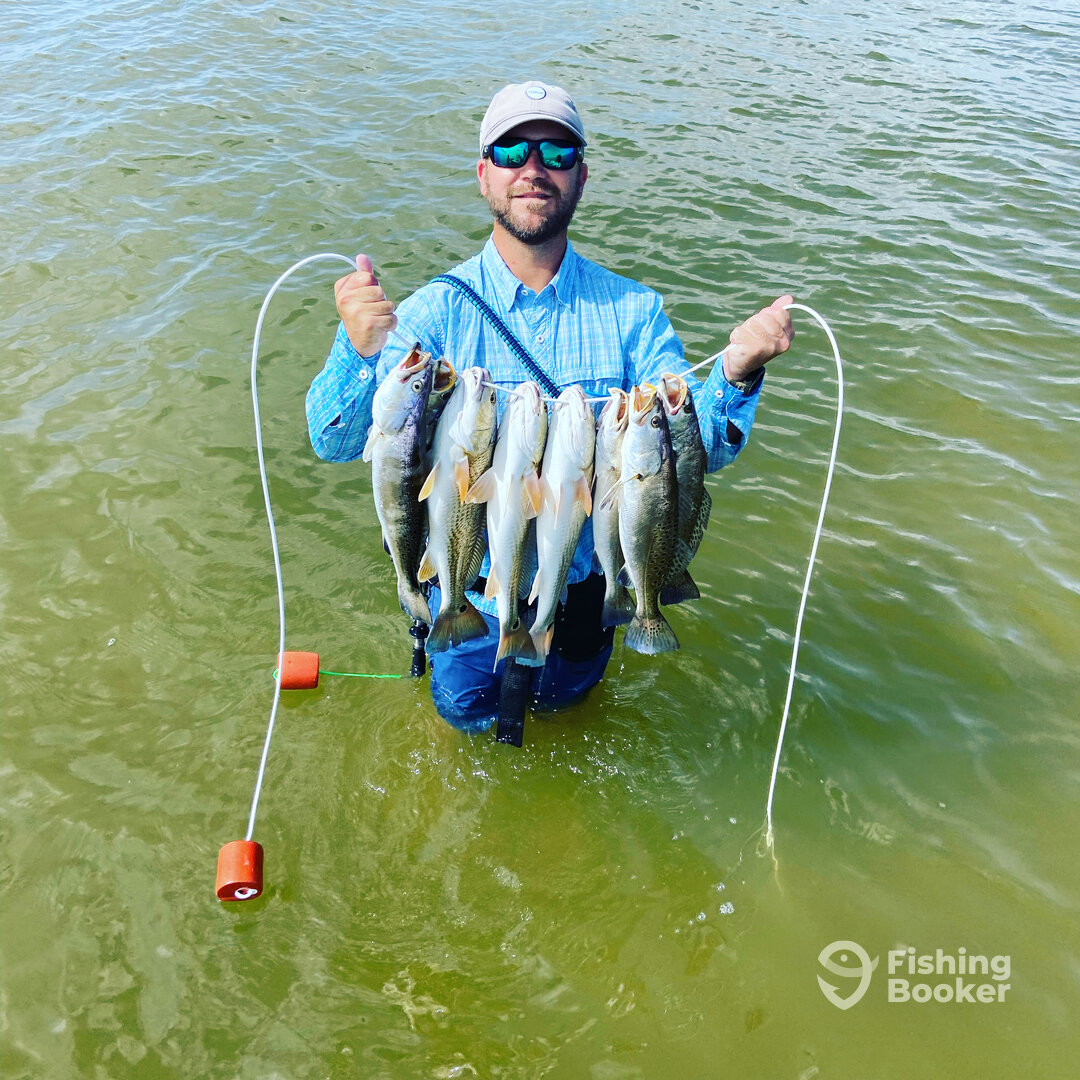 Palacios Report Photo 0