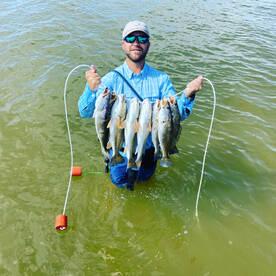 Great bite on artificial