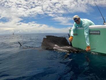 Quepos Report Photo 1