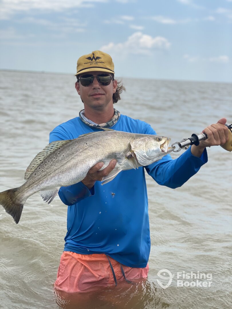 Palacios Report Photo 0