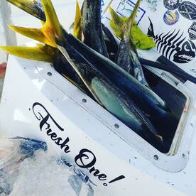 Ensenada Report Photo 1