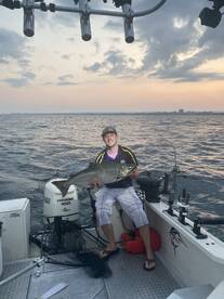 Hamilton Report Photo 1