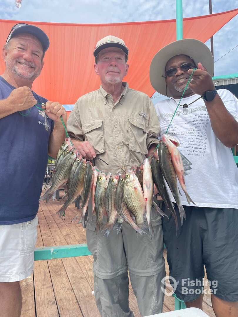 Grapevine Report Photo 0