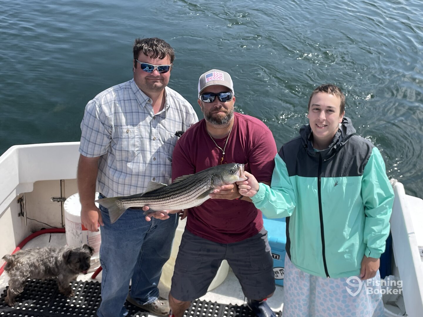 Gloucester Report Photo 0