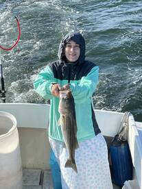 Gloucester Report Photo 1