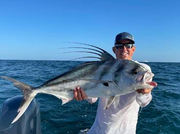 Late afternoon rooster 