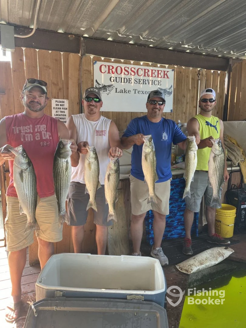 Pottsboro Report Photo 0