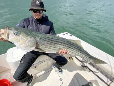 Quincy Report Photo 2